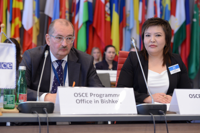 OSCE Academy Management addresses OSCE Permanent Council